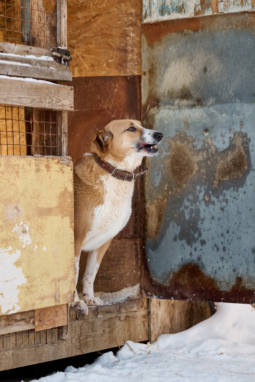 ph: Анна Молодожён