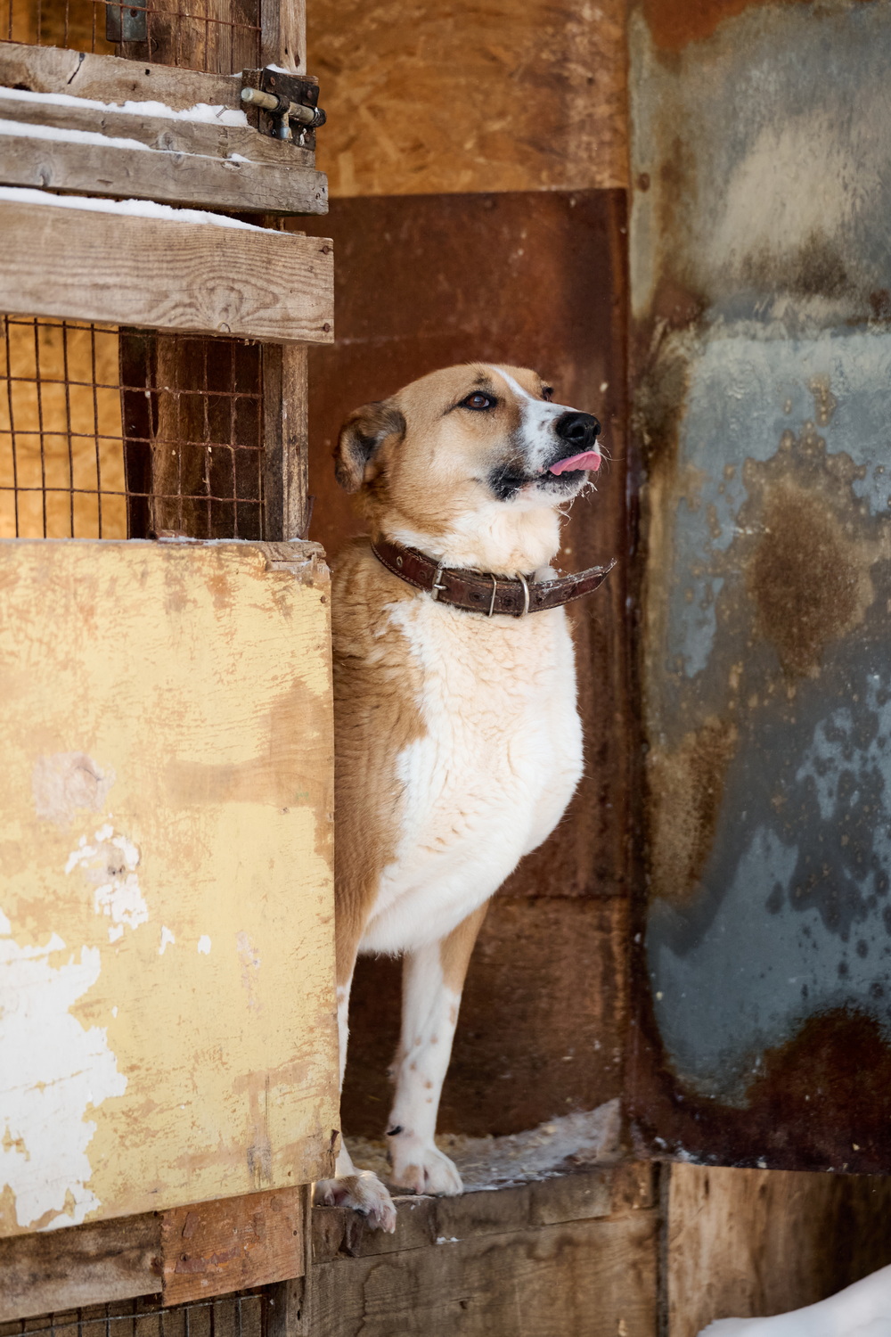 ph: Анна Молодожён