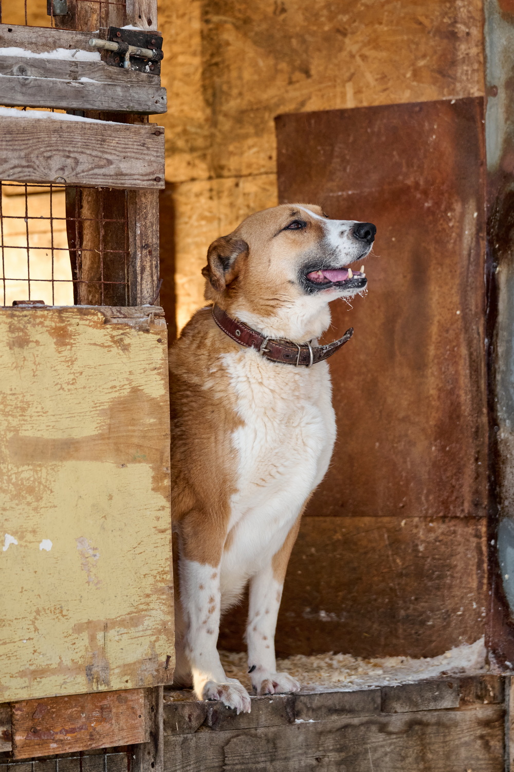 ph: Анна Молодожён