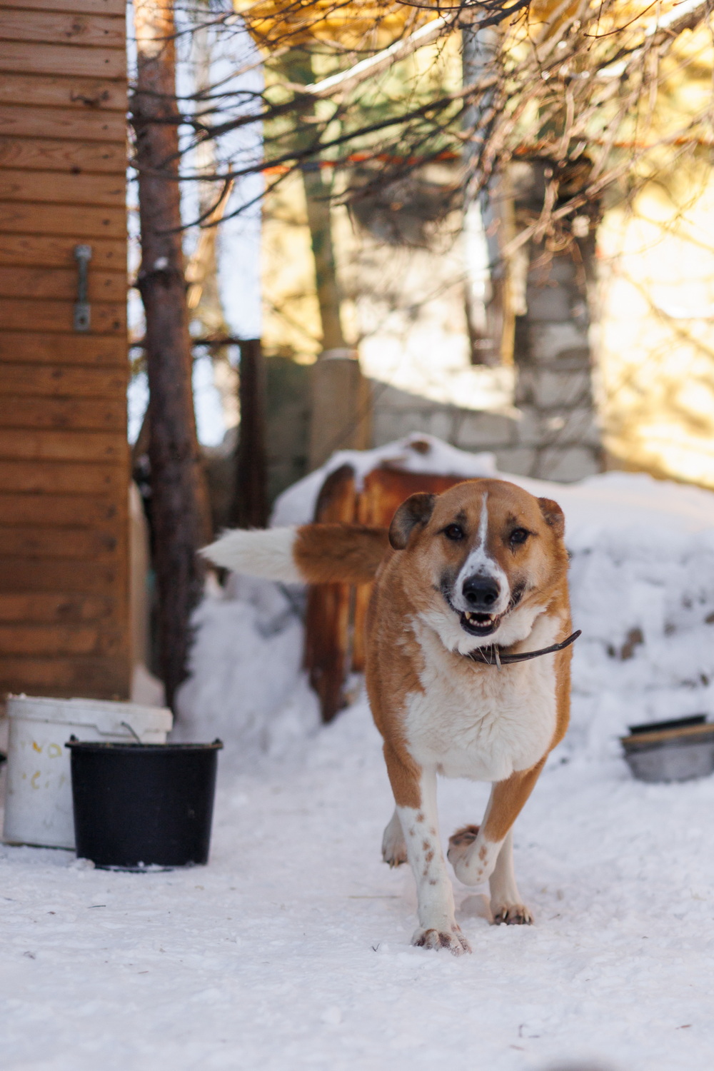 ph: Елена Тимофеева