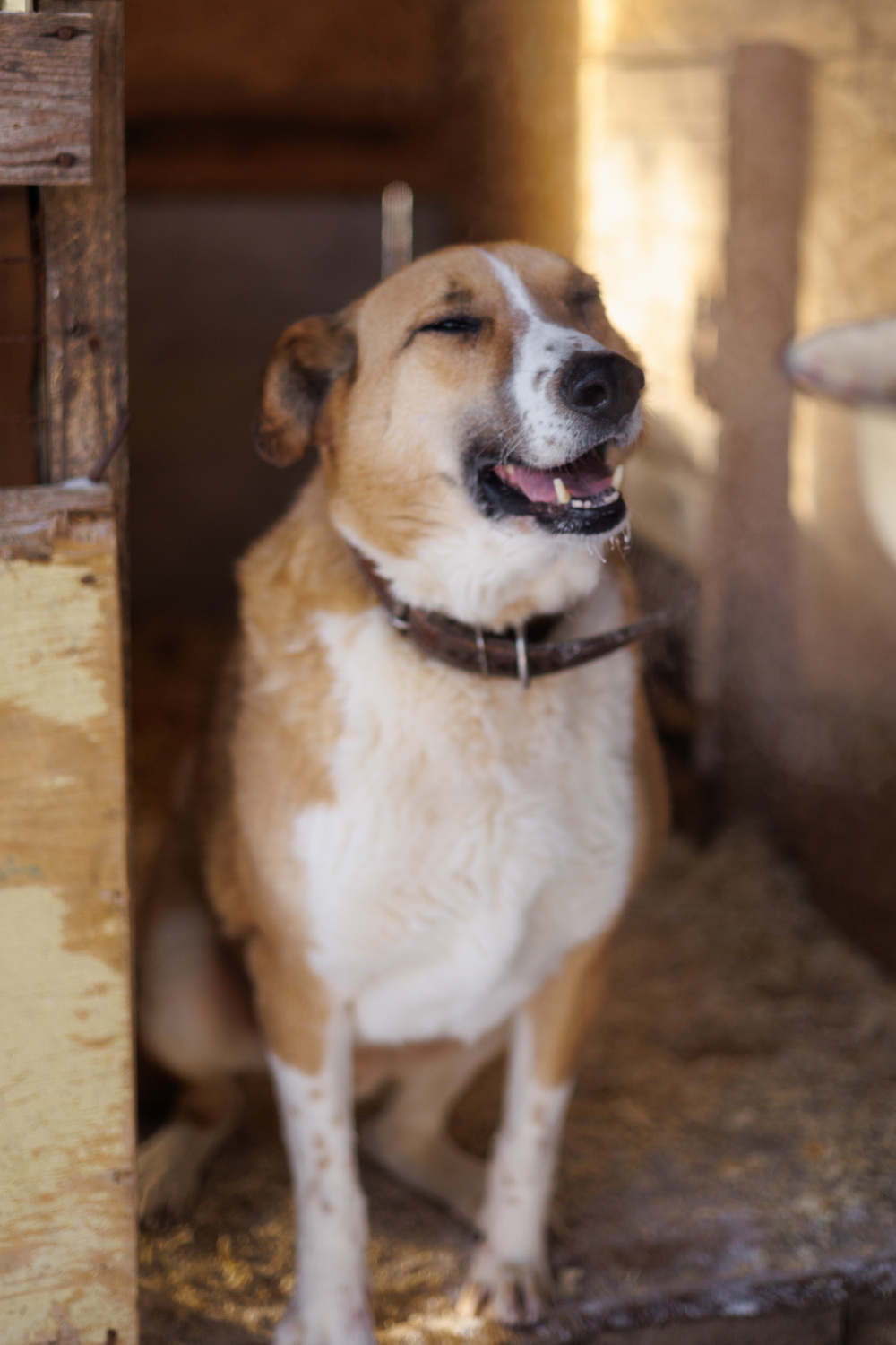 ph: Елена Тимофеева