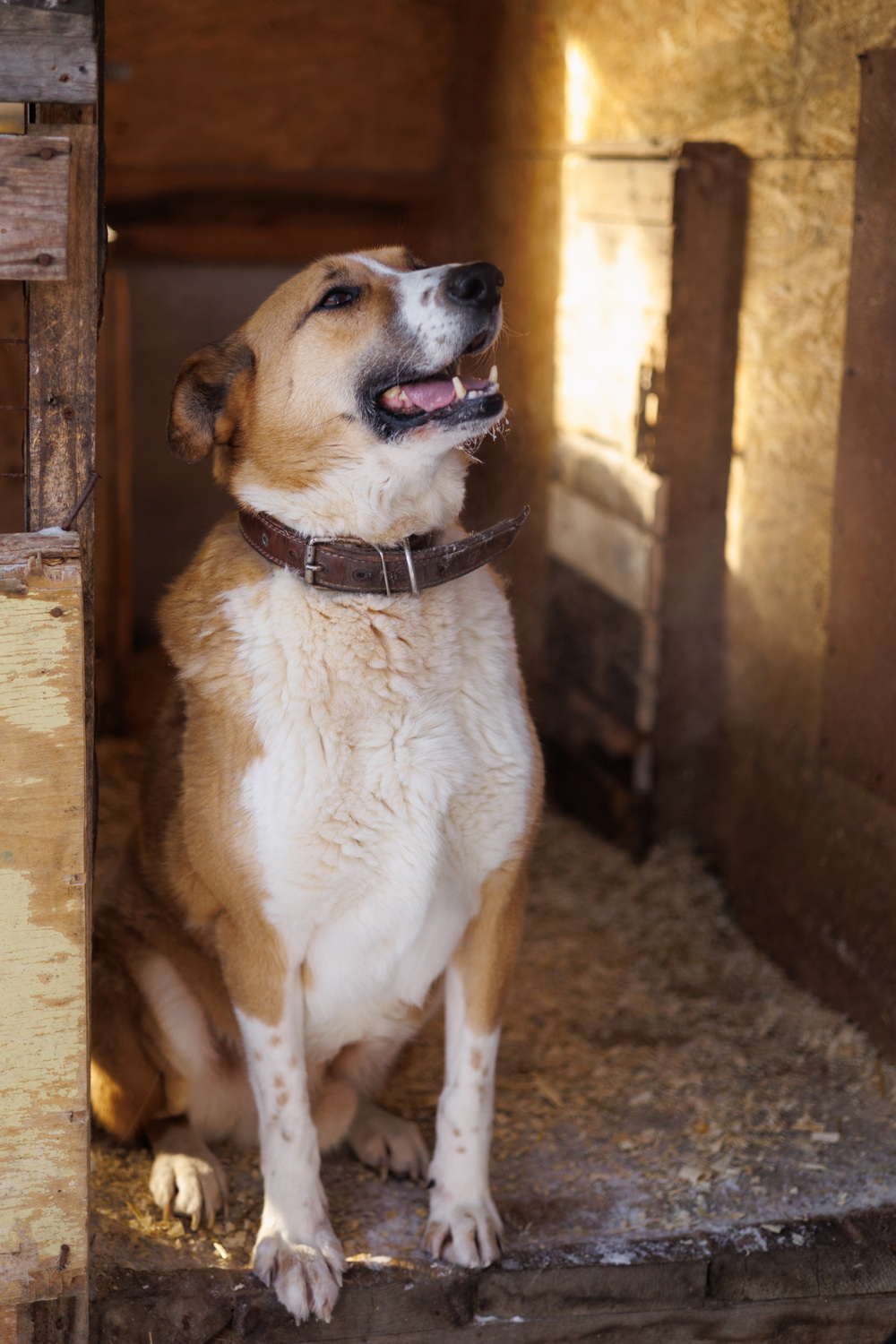 ph: Елена Тимофеева