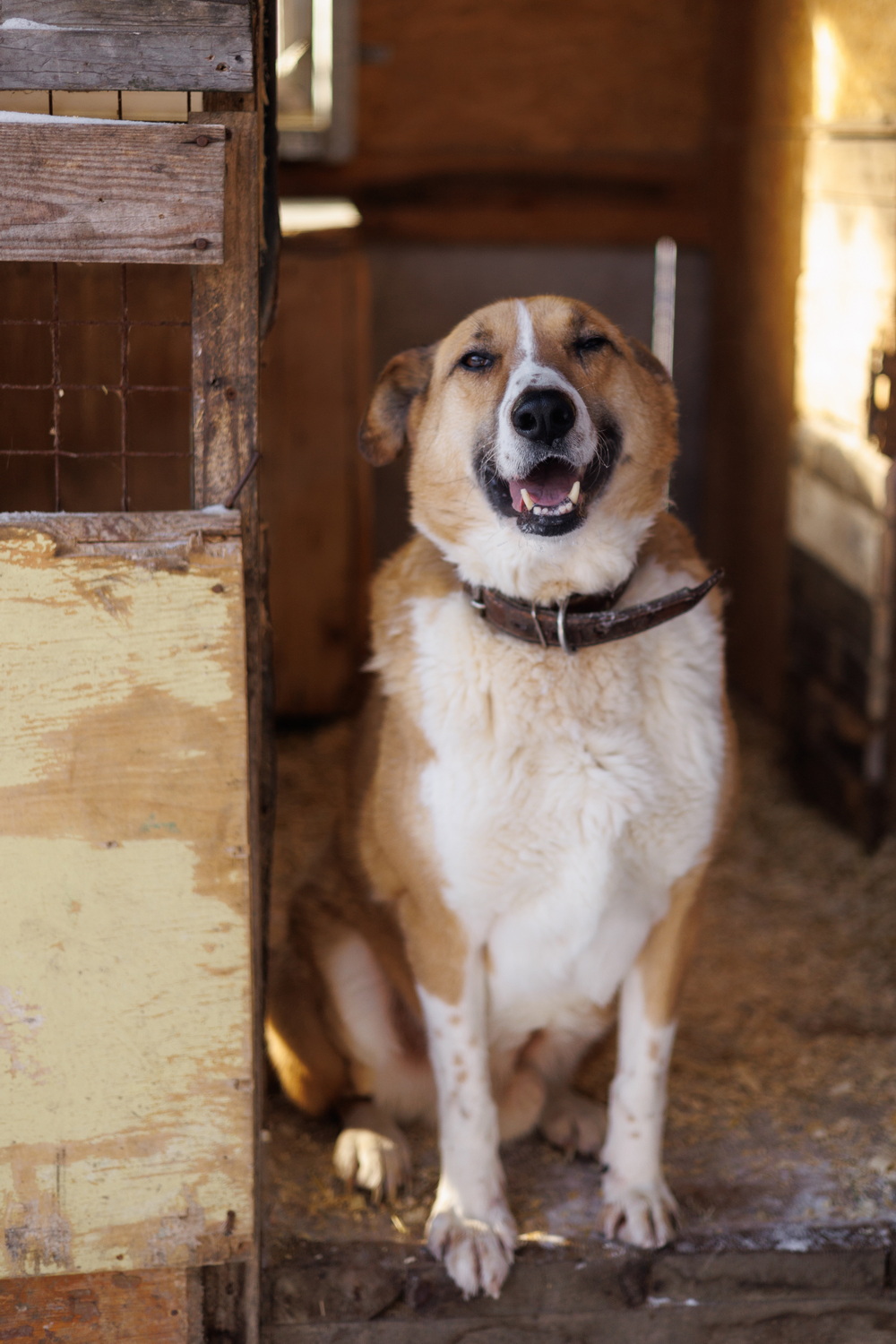 ph: Елена Тимофеева