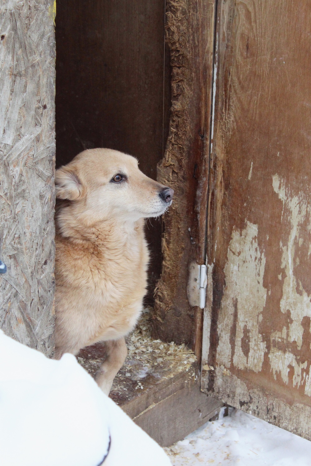 ph: Диана Стафеева