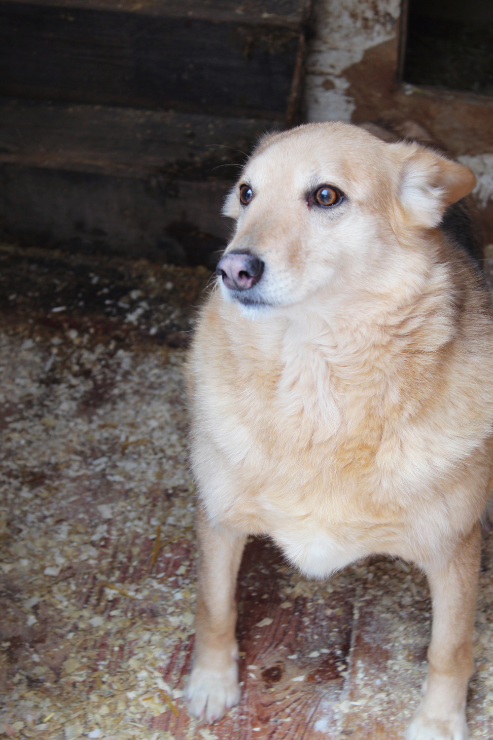 ph: Диана Стафеева