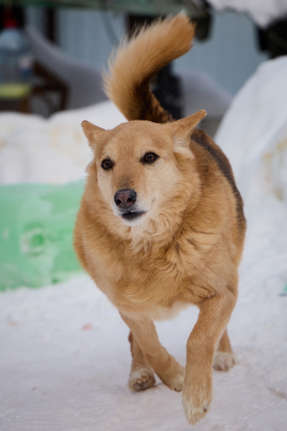 ph: Николай Коба