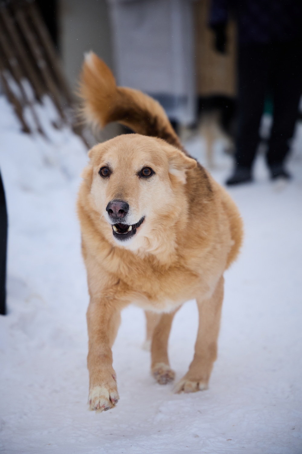 ph: Николай Коба