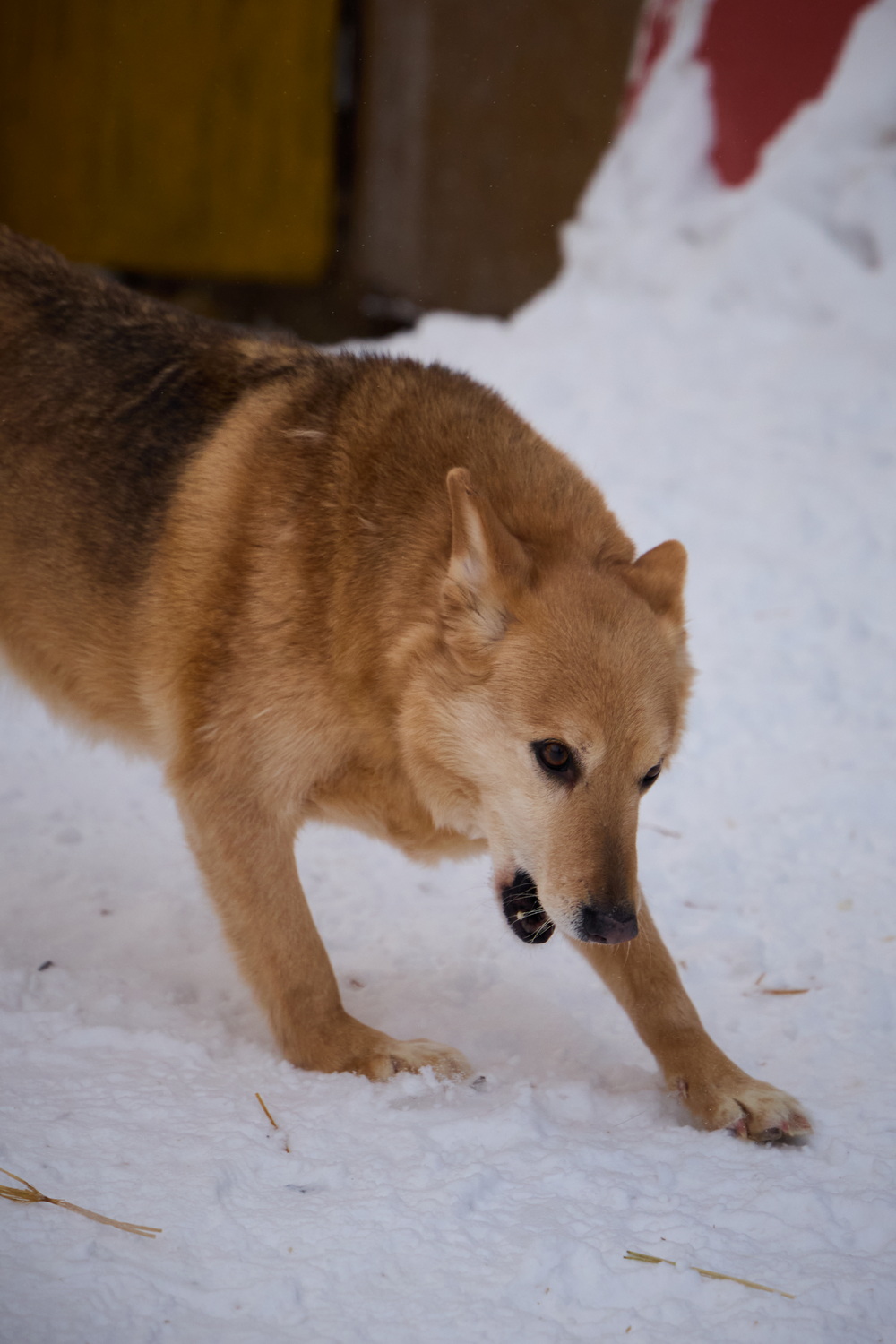ph: Николай Коба