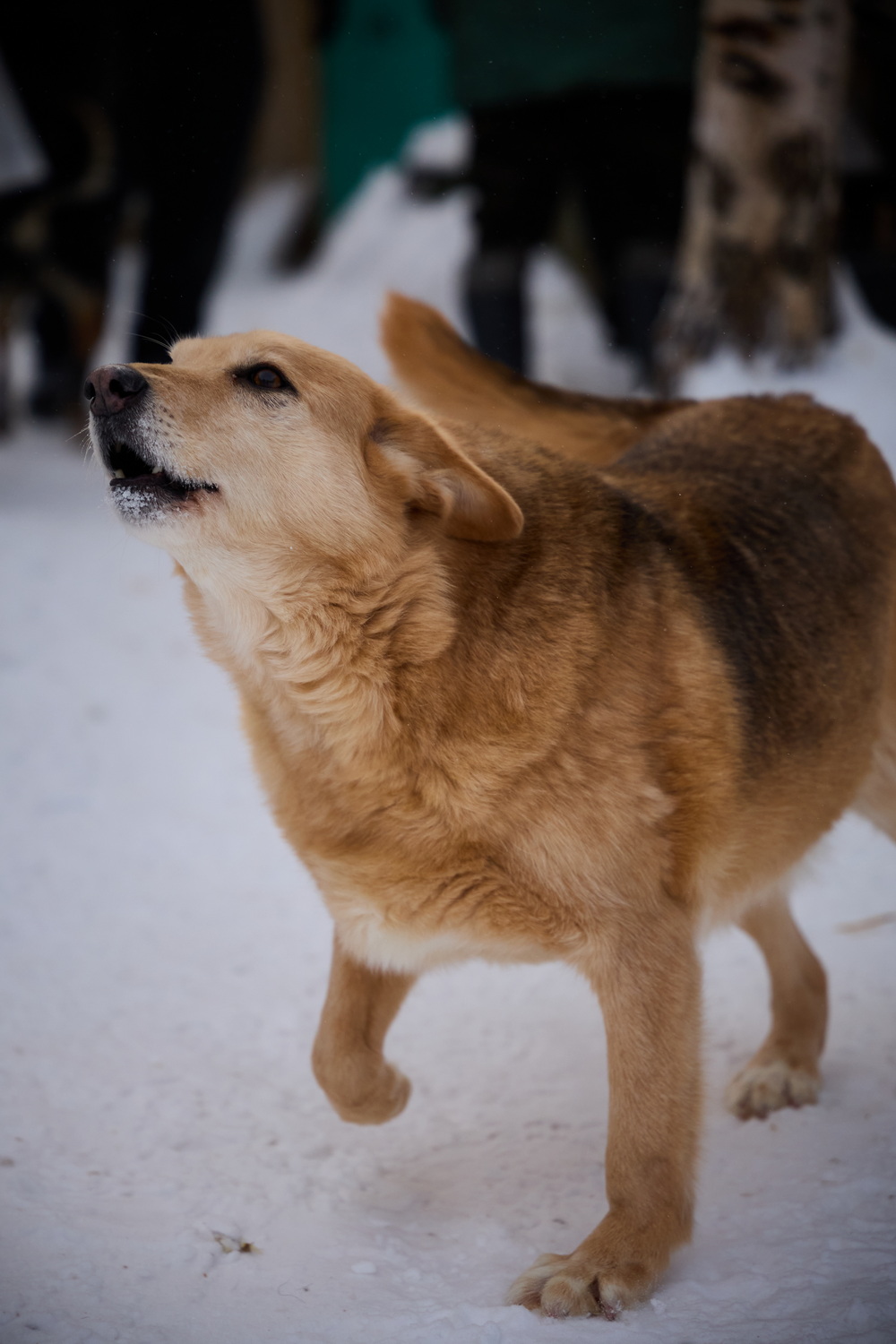 ph: Николай Коба