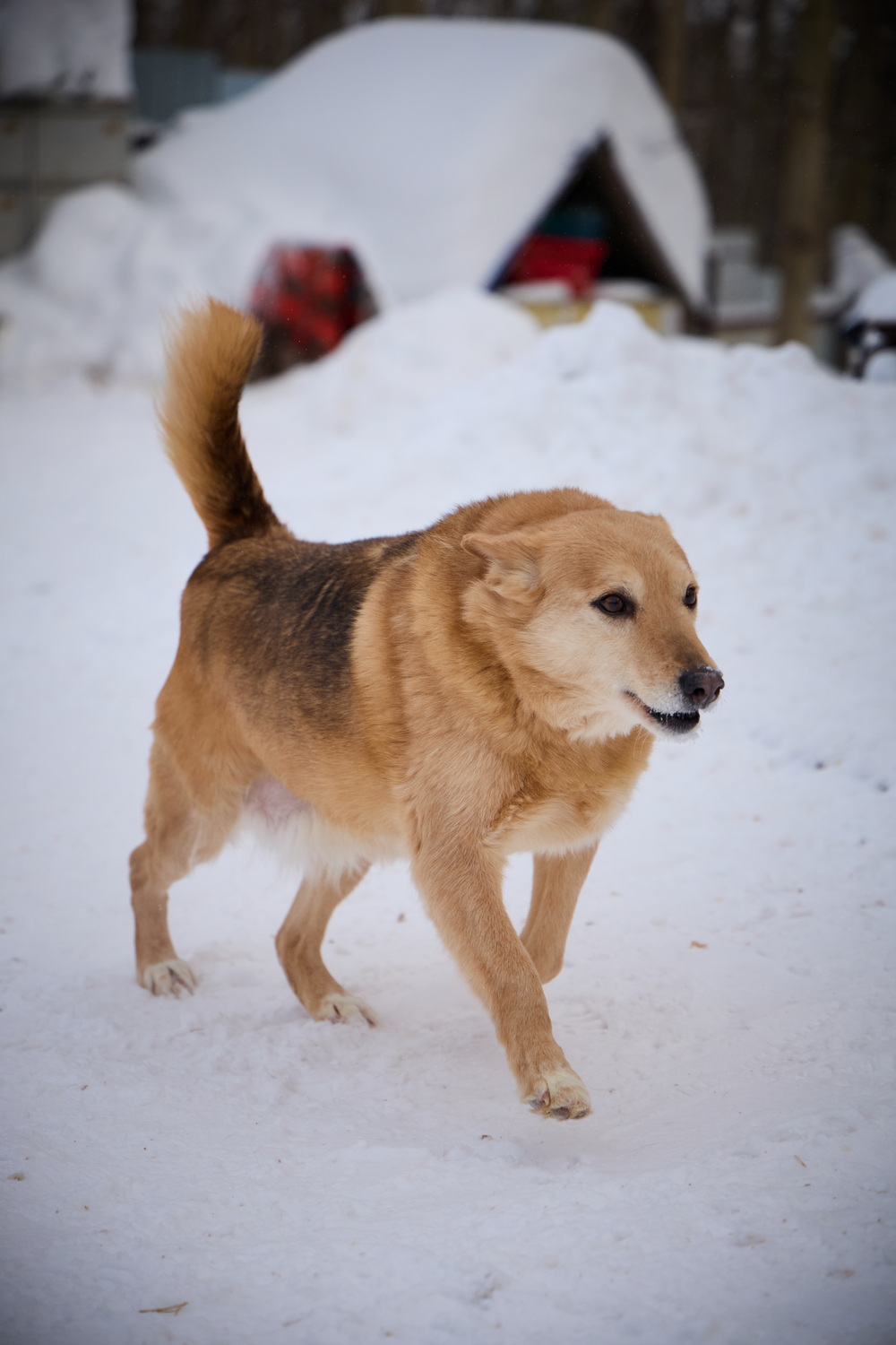 ph: Николай Коба
