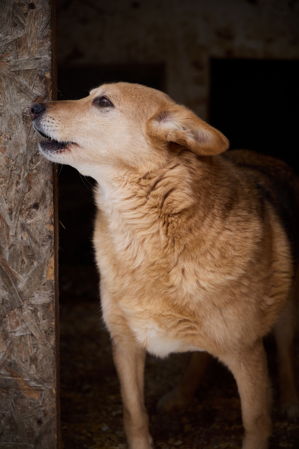 ph: Николай Коба
