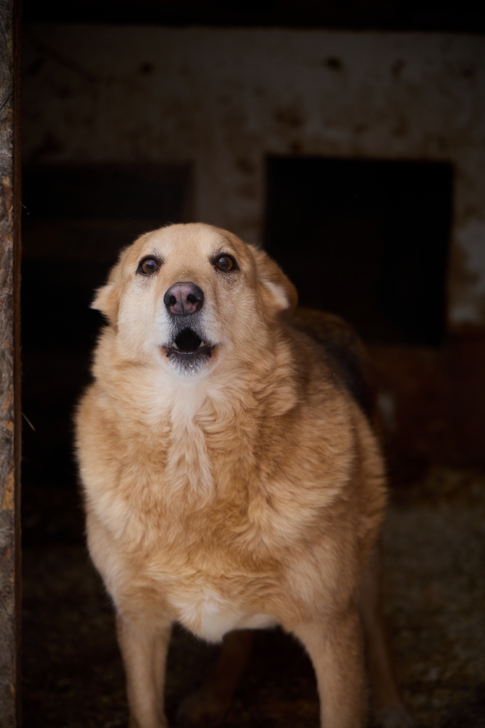 ph: Николай Коба