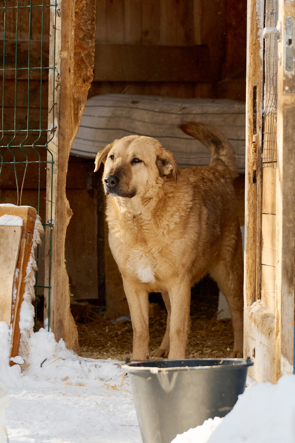 ph: Анна Молодожён