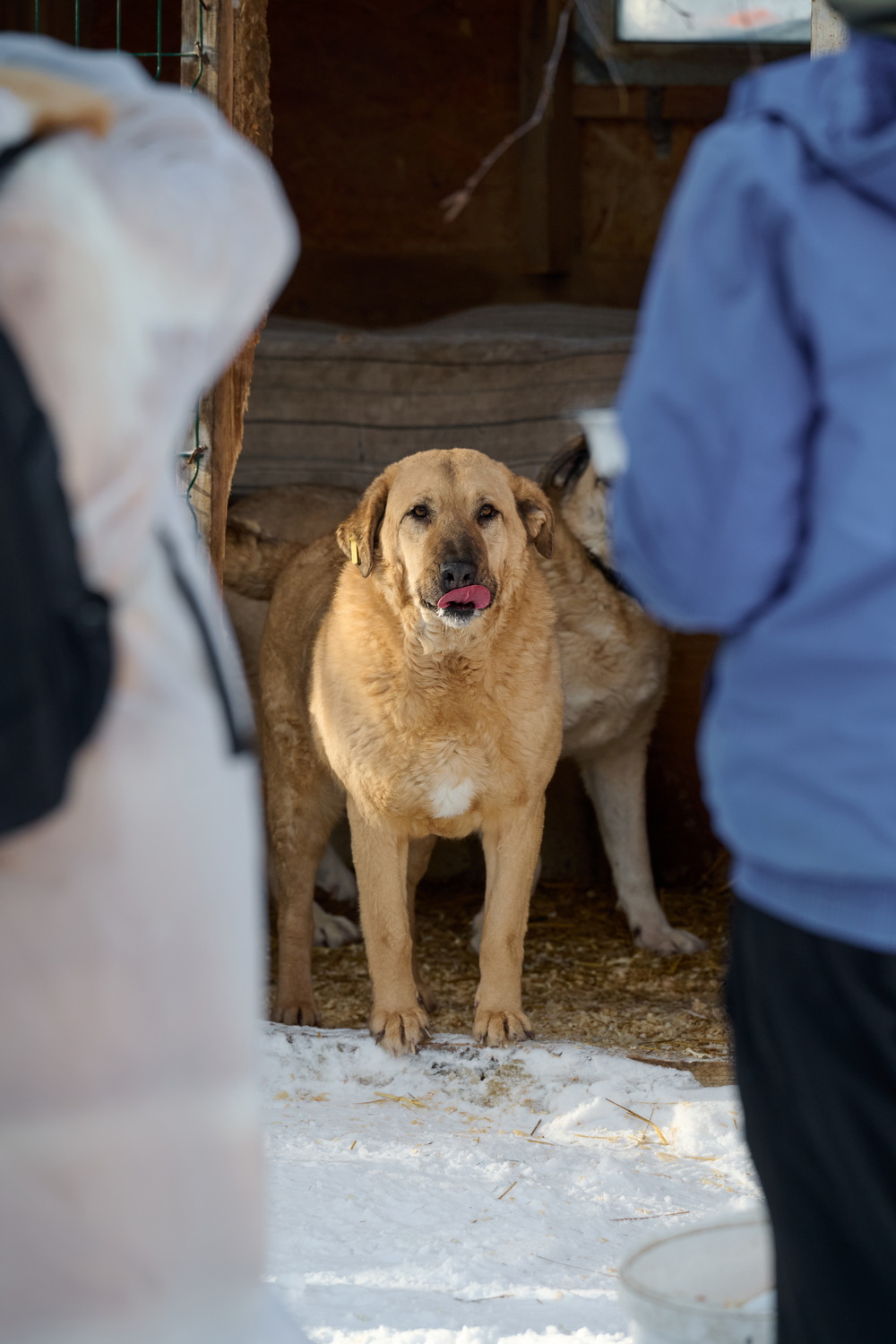 ph: Анна Молодожён