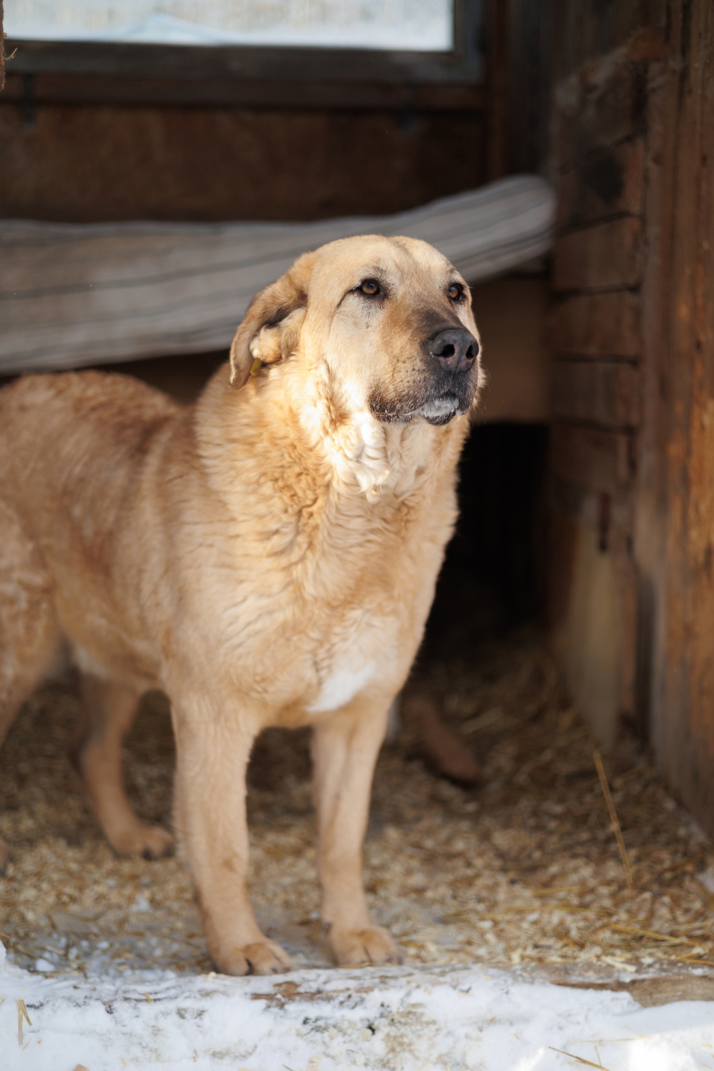 ph: Елена Тимофеева