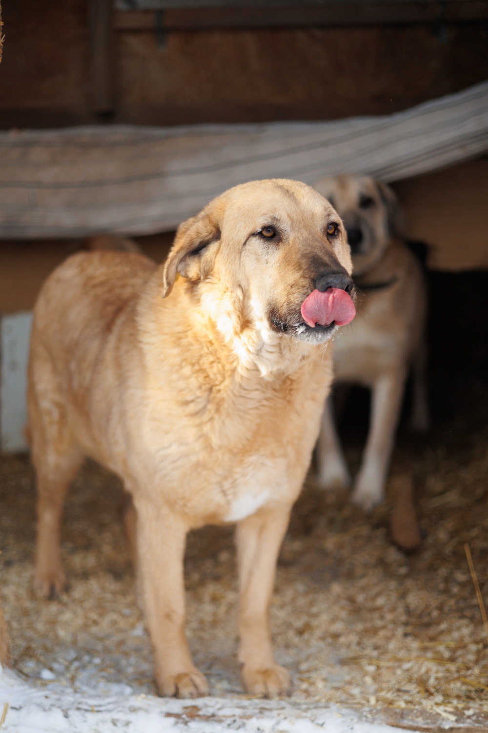 ph: Елена Тимофеева