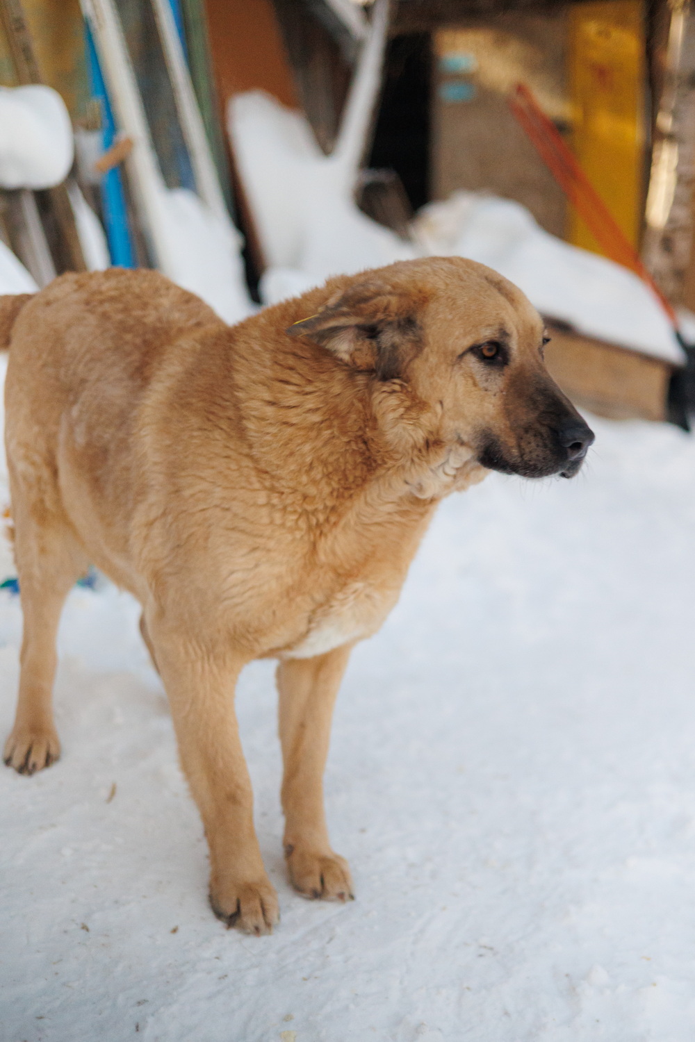 ph: Елена Тимофеева