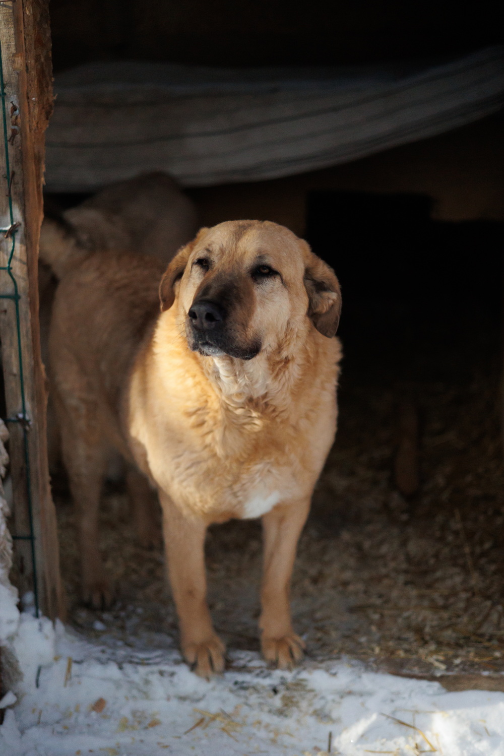 ph: Елена Тимофеева