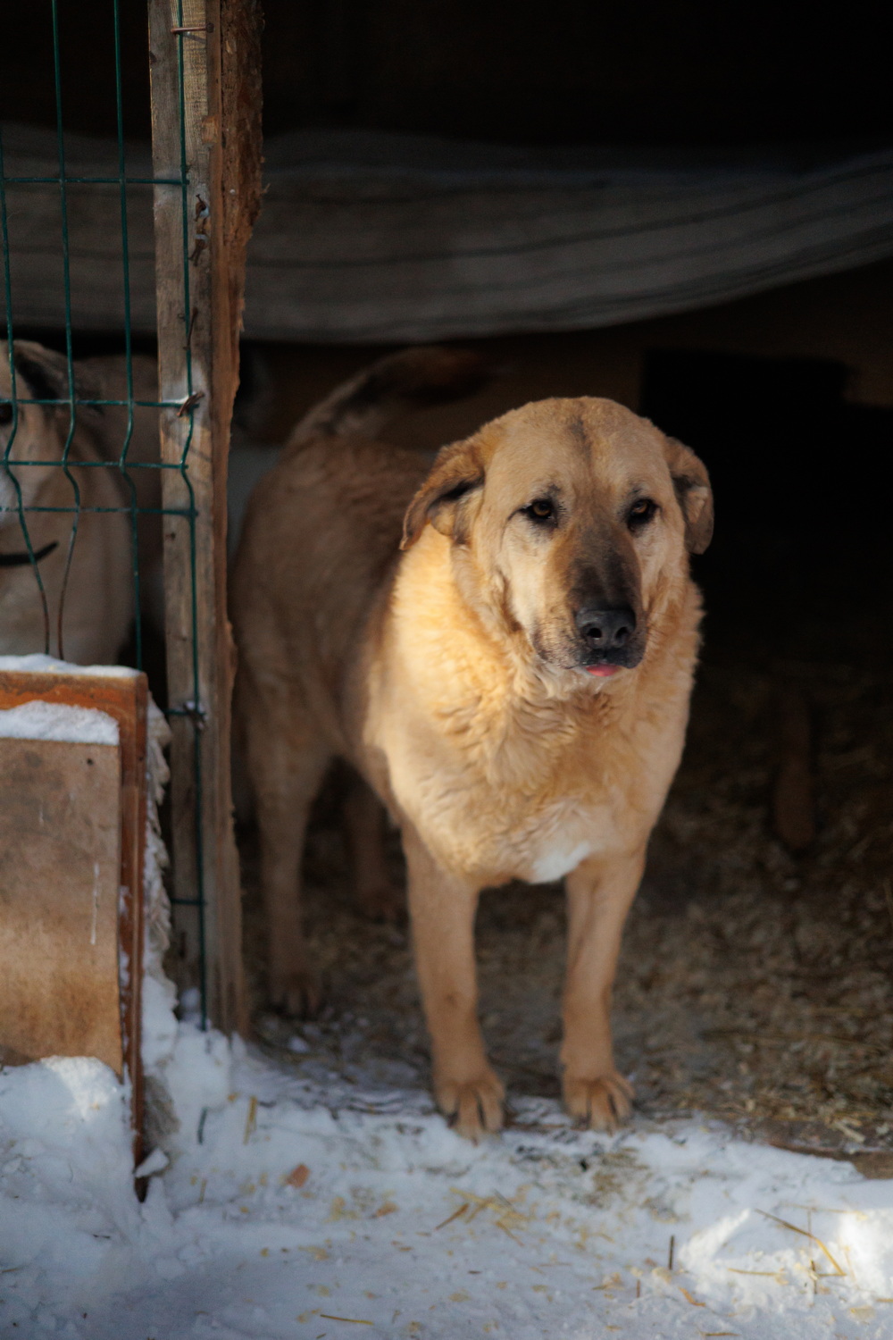 ph: Елена Тимофеева