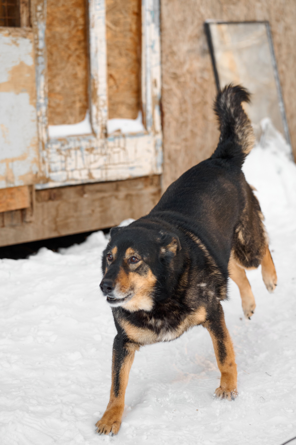 ph: Анна Молодожён