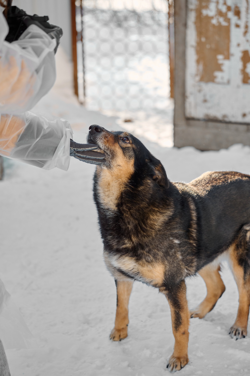 ph: Анна Молодожён