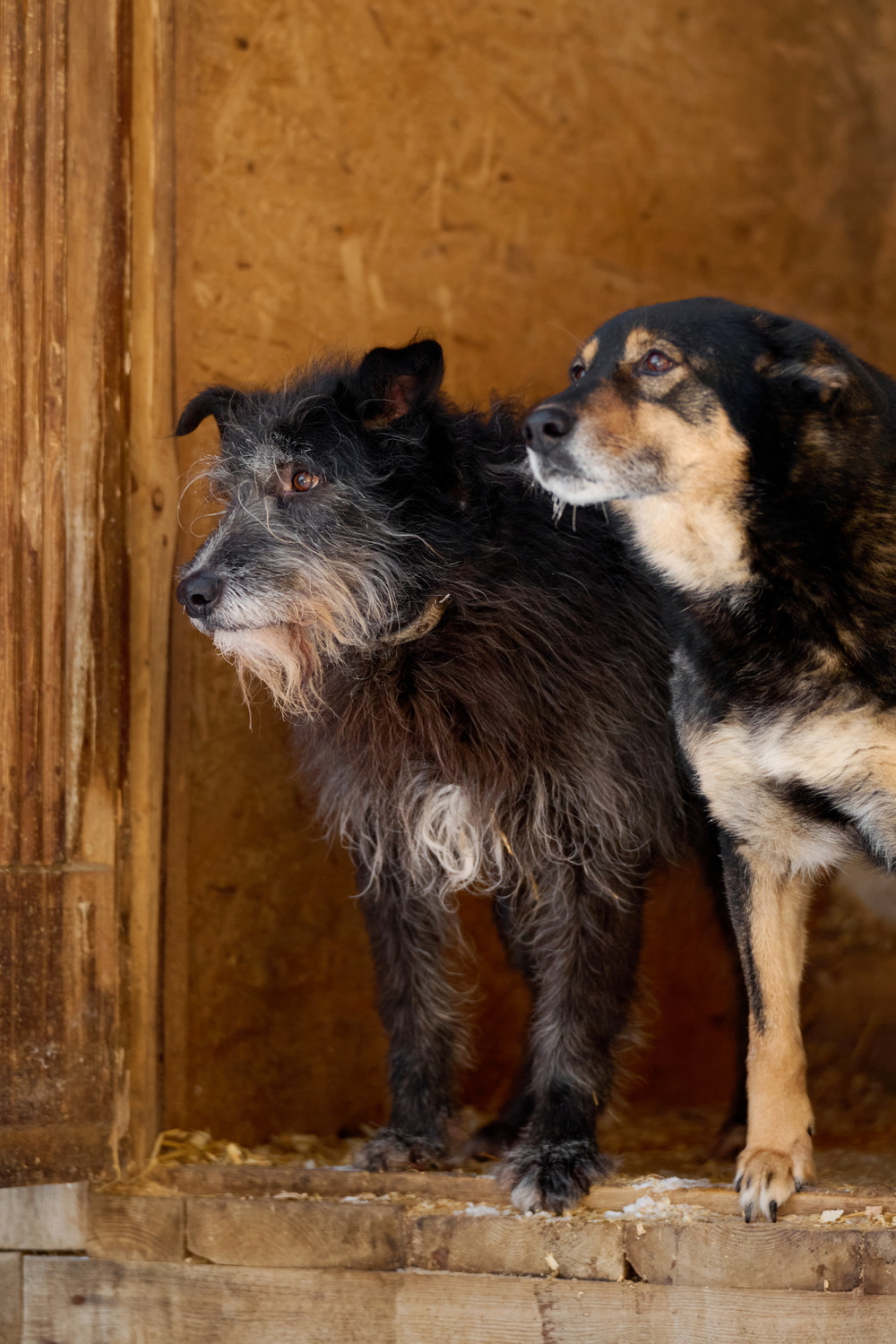 ph: Анна Молодожён