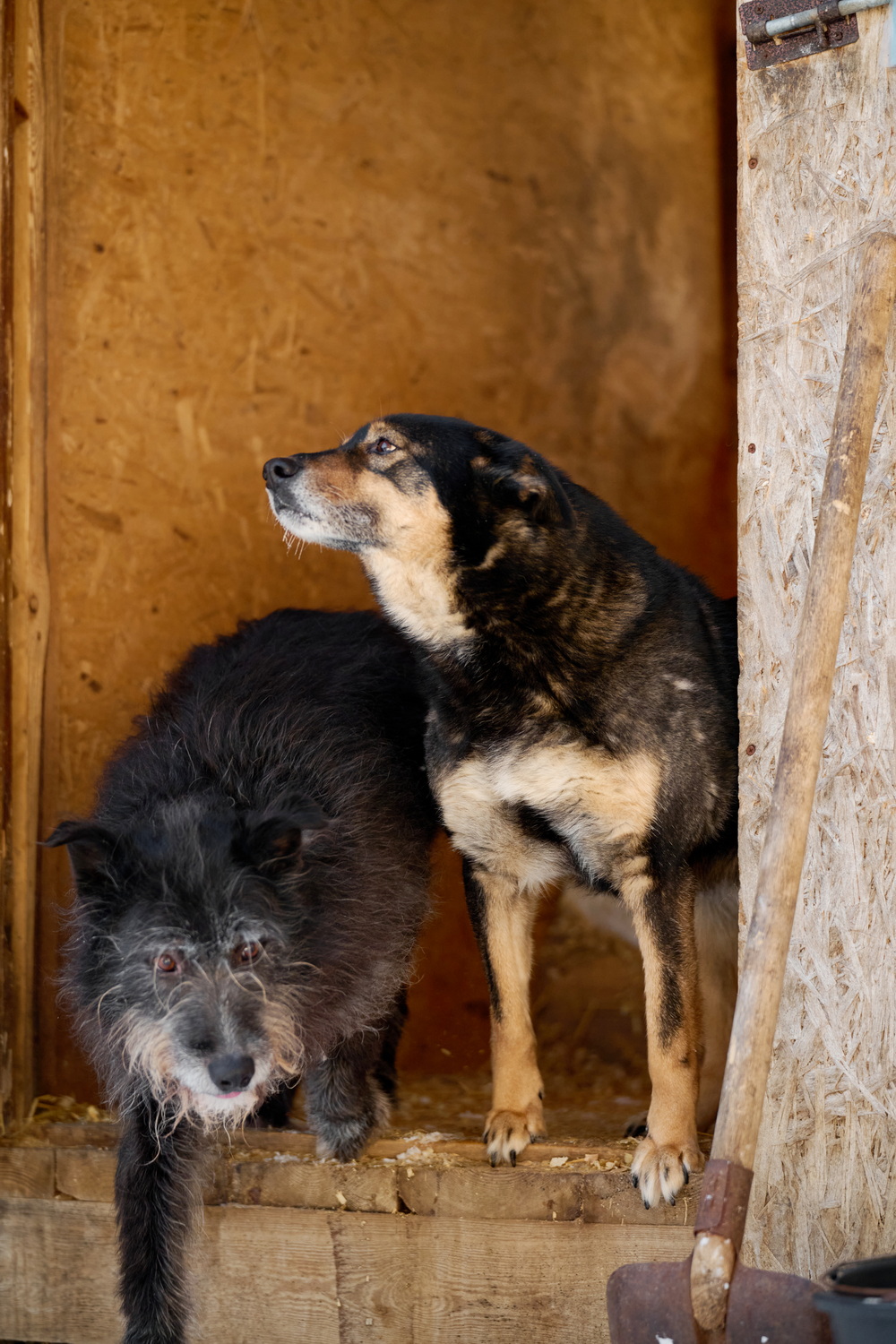 ph: Анна Молодожён