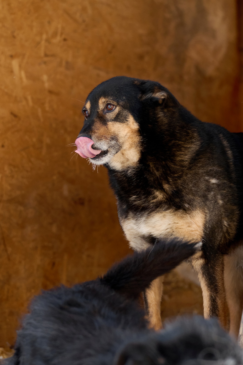 ph: Анна Молодожён