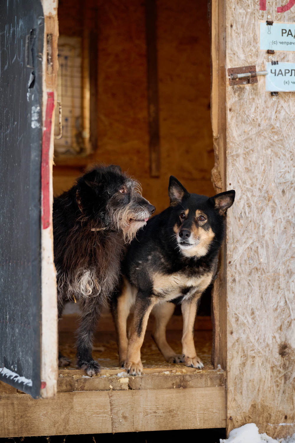 ph: Анна Молодожён