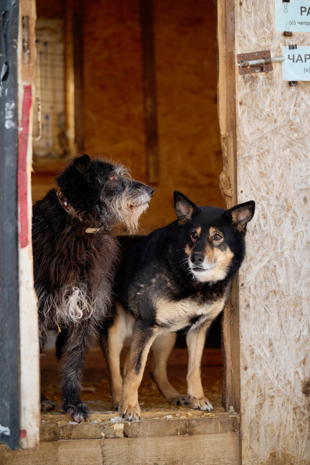 ph: Анна Молодожён