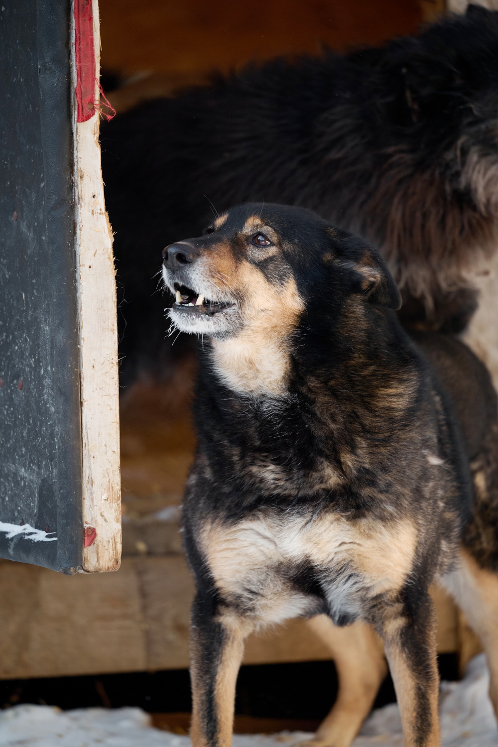 ph: Анна Молодожён