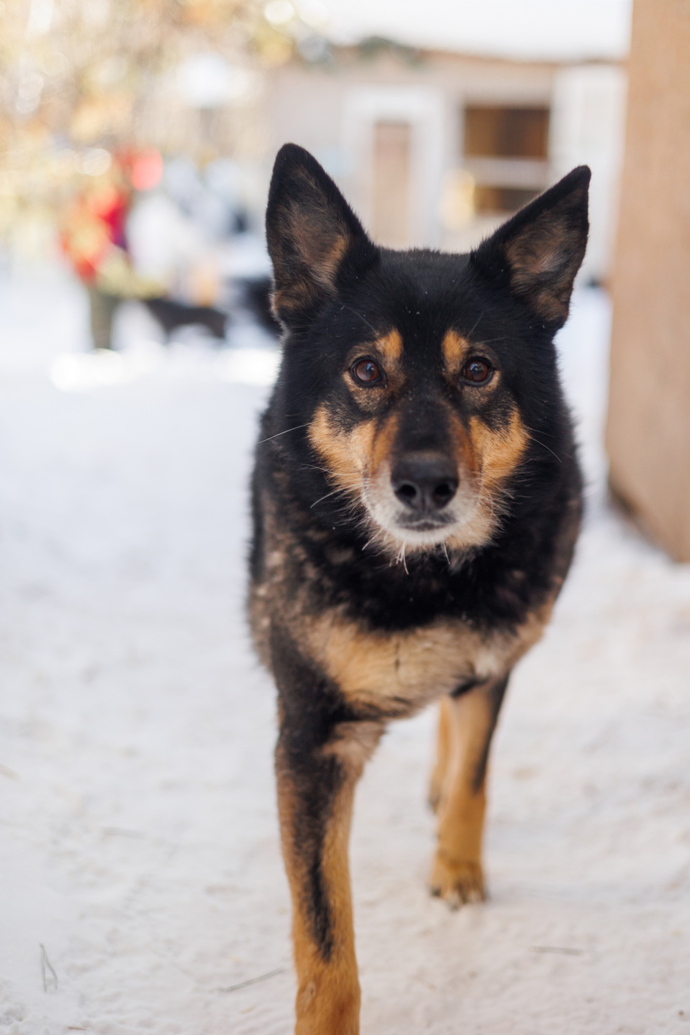 ph: Елена Тимофеева