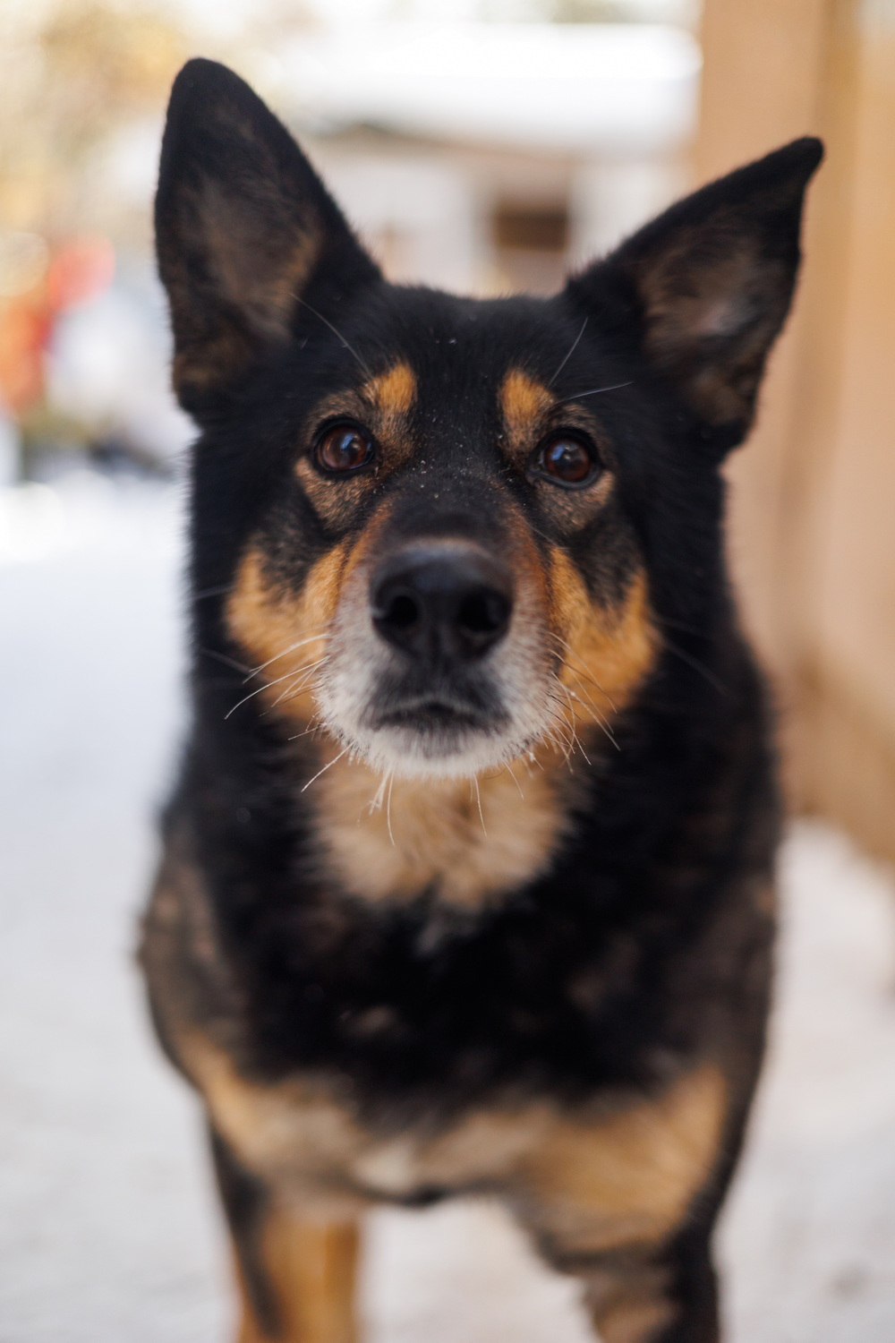 ph: Елена Тимофеева