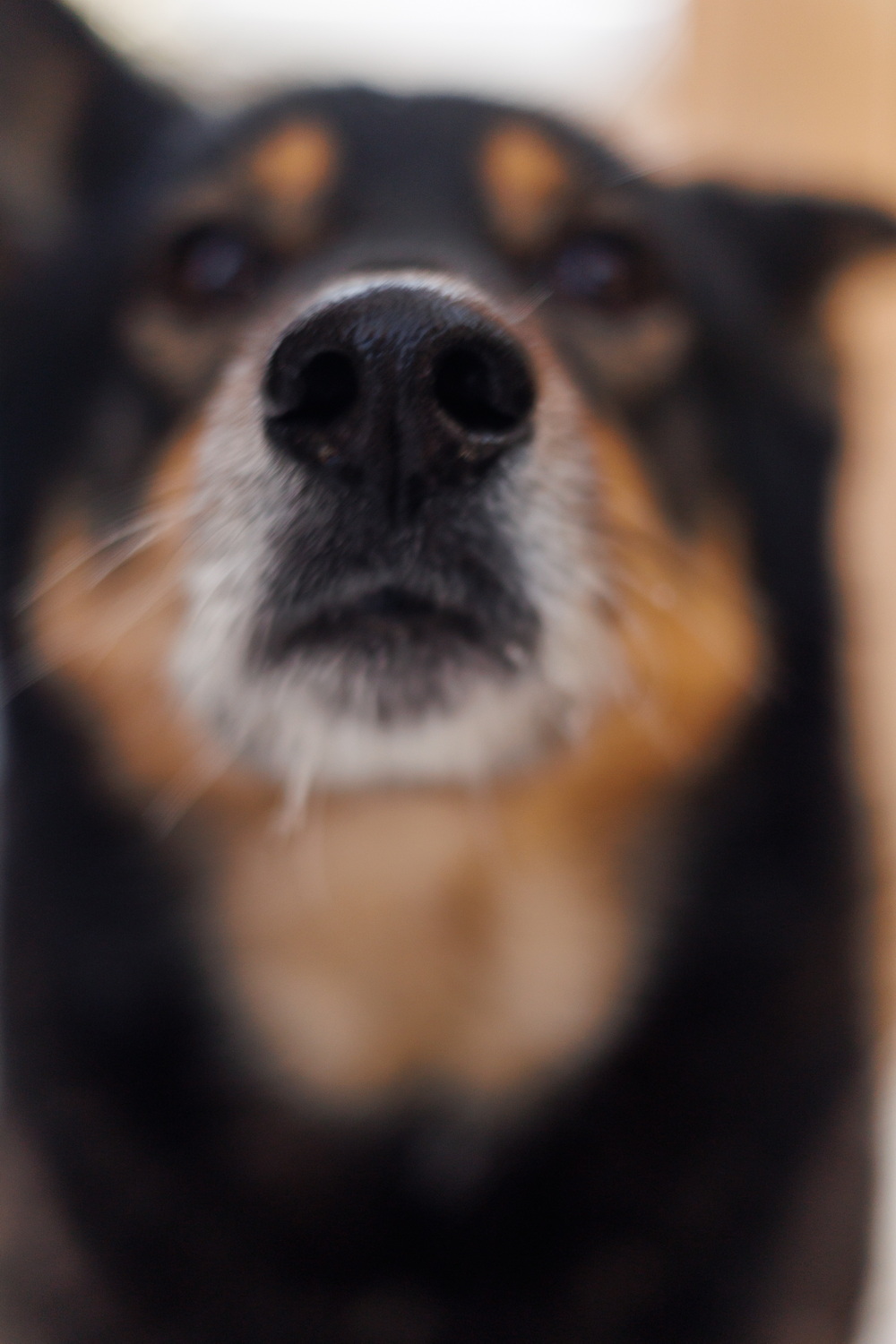 ph: Елена Тимофеева