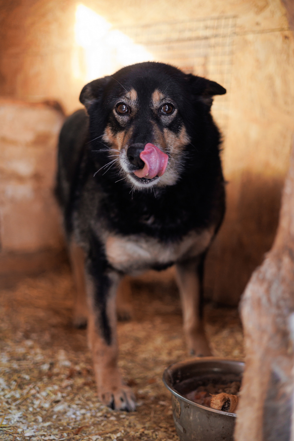 ph: Елена Тимофеева