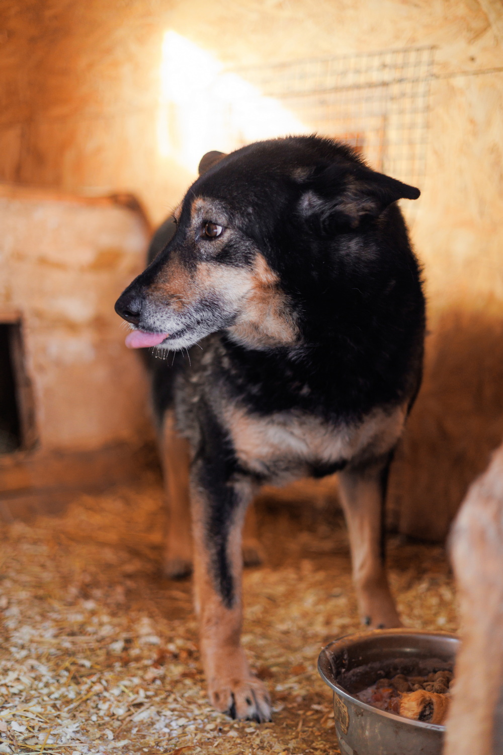 ph: Елена Тимофеева