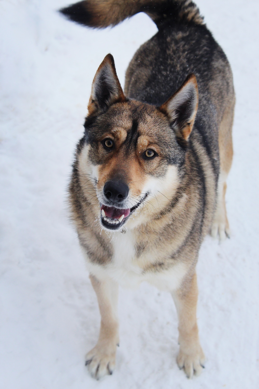 ph: Диана Стафеева