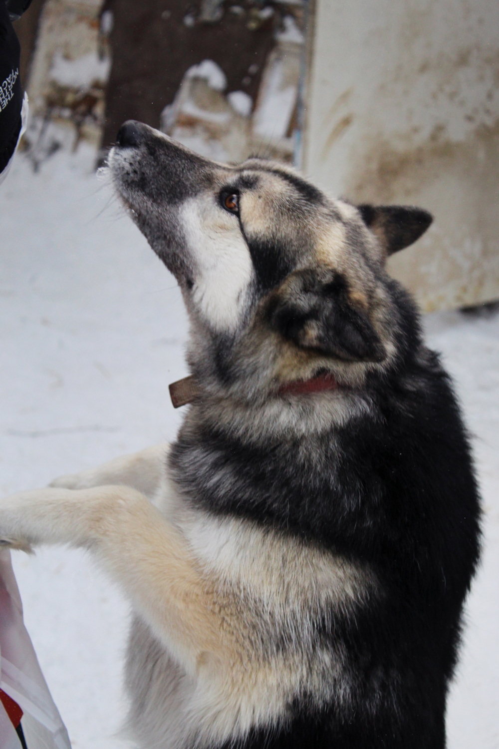 ph: Диана Стафеева