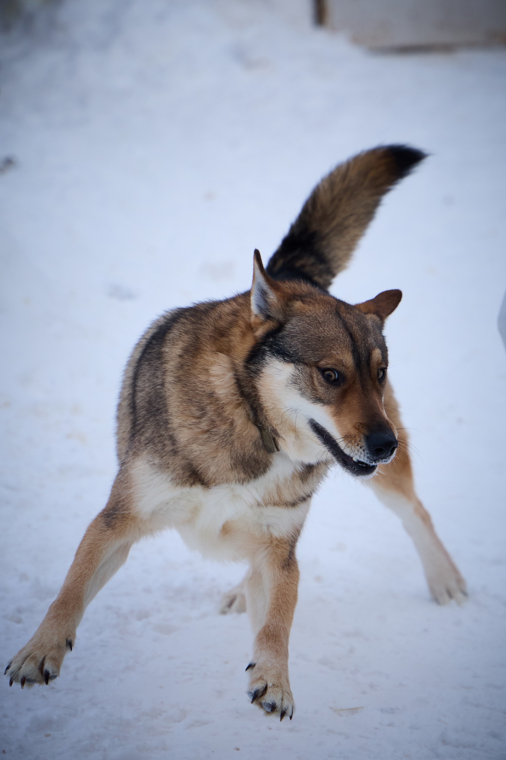 ph: Николай Коба