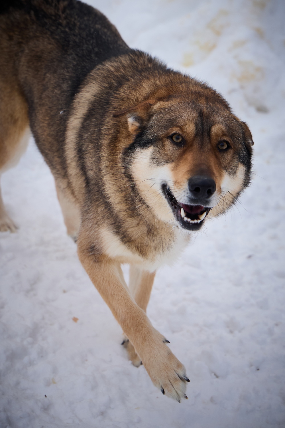 ph: Николай Коба