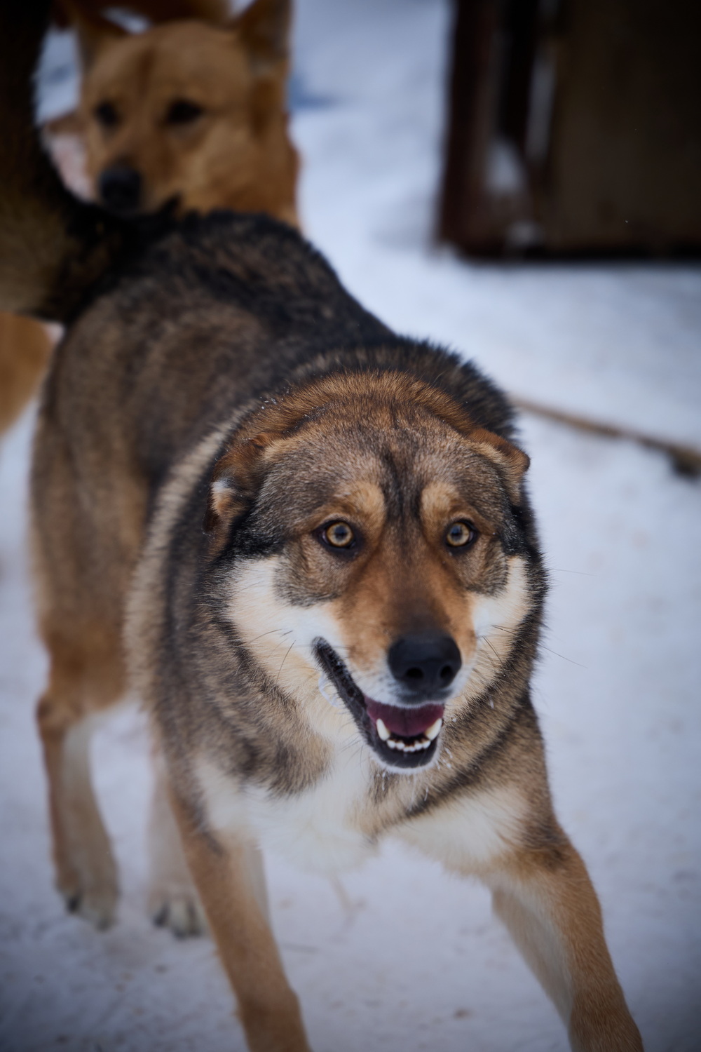 ph: Николай Коба