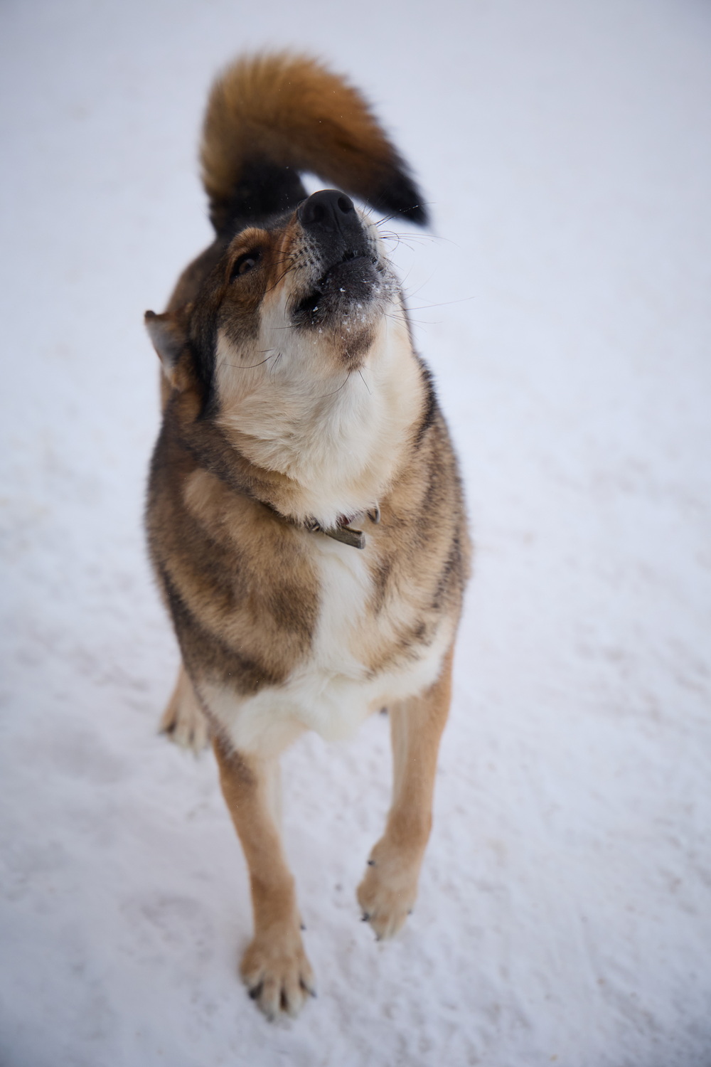 ph: Николай Коба