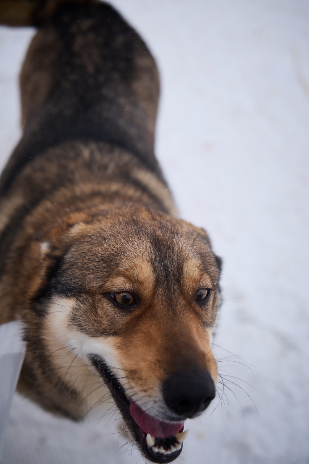 ph: Николай Коба