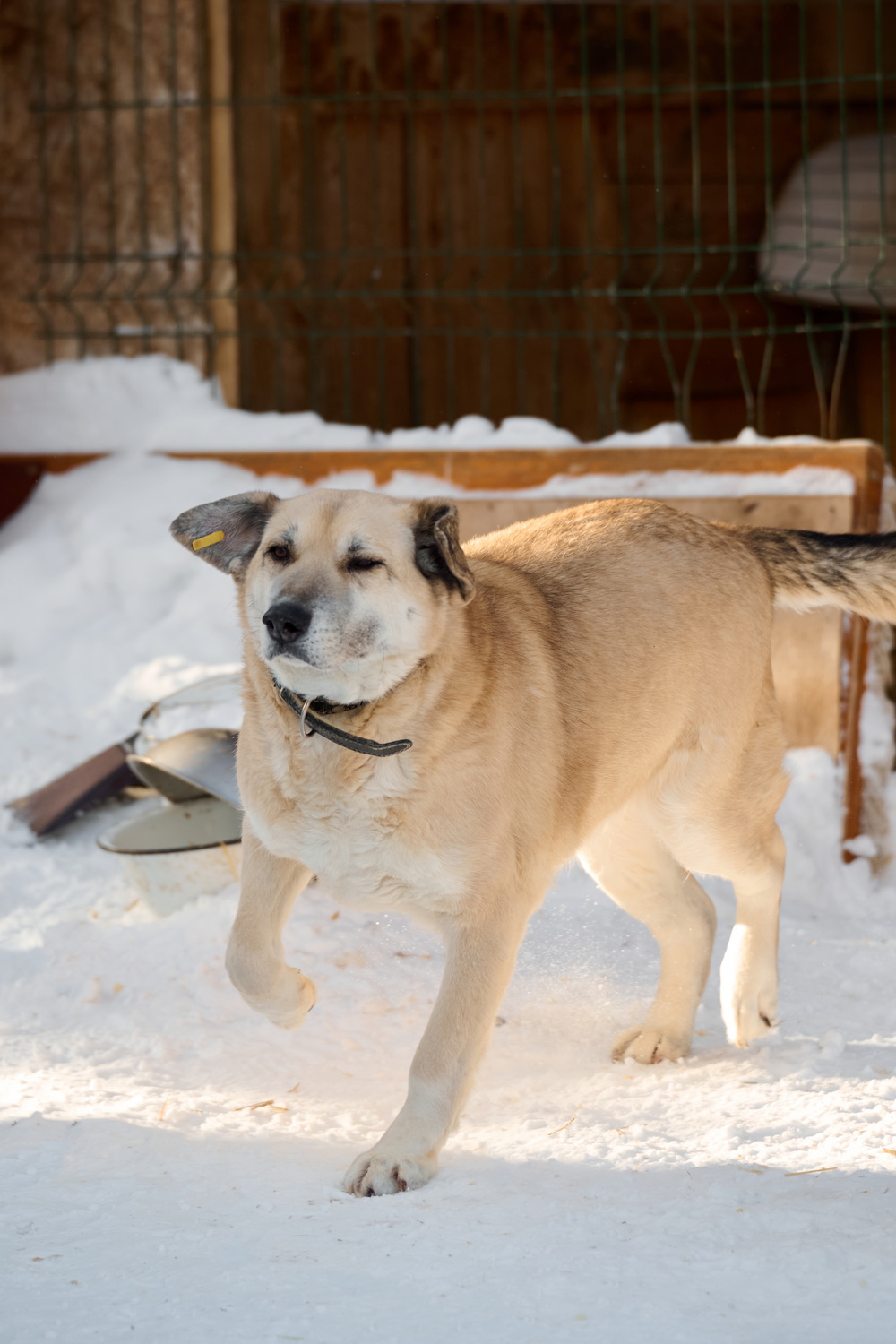 ph: Анна Молодожён