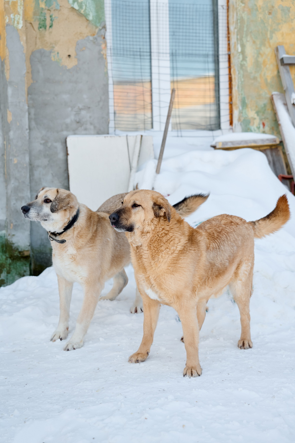 ph: Анна Молодожён