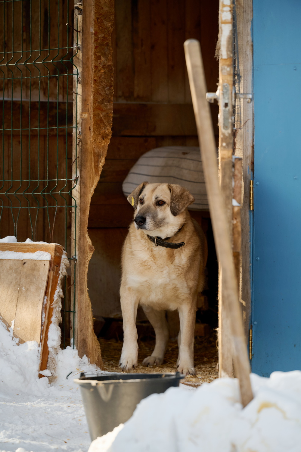 ph: Анна Молодожён