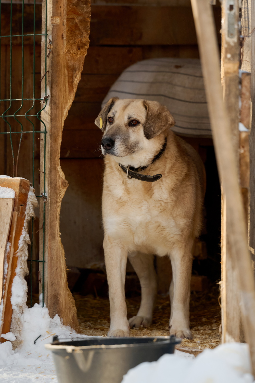 ph: Анна Молодожён