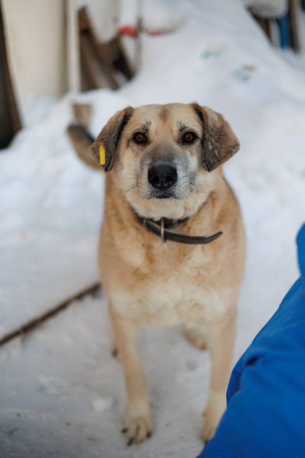 ph: Елена Тимофеева