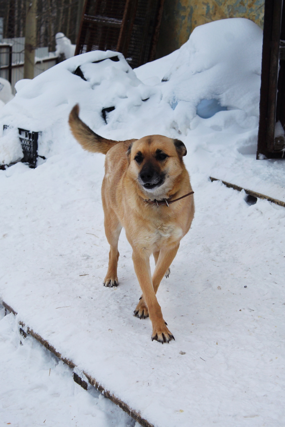 ph: Диана Стафеева