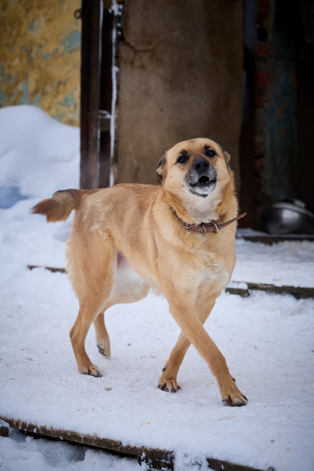 ph: Николай Коба